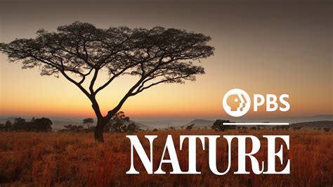 eronature chanel|pbs nature documentary.